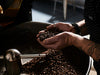 patrick holding roasted coffee beans from monks coffee roaster 