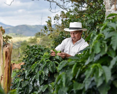 Colombia