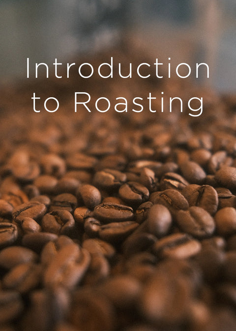 Introduction to Coffee Roasting Course - By Appointment