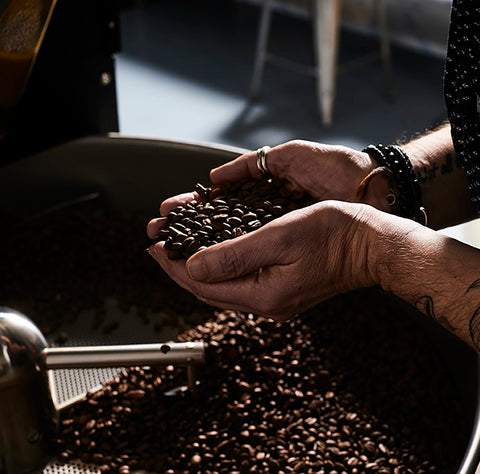 Introduction to Coffee Roasting Course - By Appointment